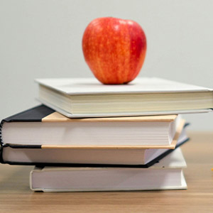 令和8年(2026年)税制改正の動向